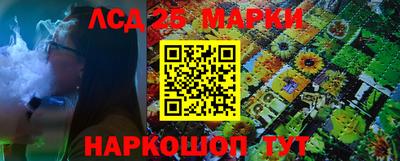 Альфа ПВП Донецк